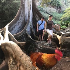 Meet your Posher, Sherry